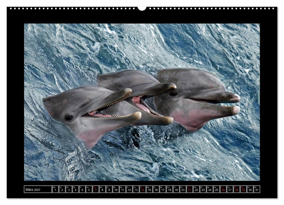 Wildtiere (CALVENDO Premium Wandkalender 2027)