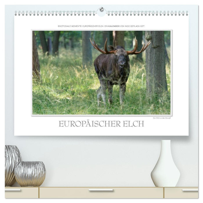 Emotionale Momente: Europäischer Elch. / CH-Version (CALVENDO Premium Wandkalender 2027)