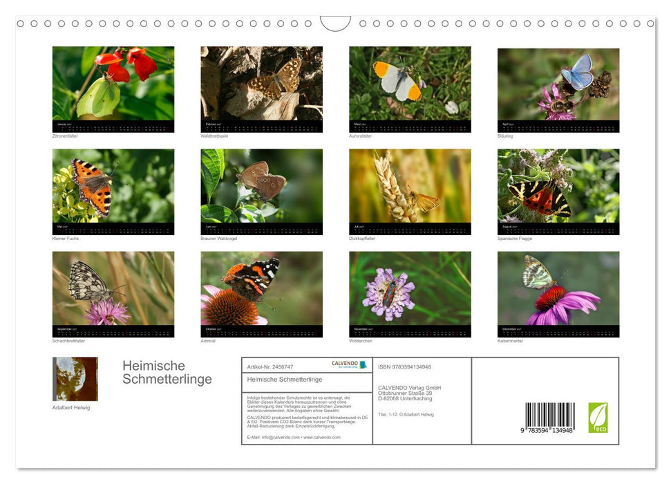 Heimische Schmetterlinge (CALVENDO Wandkalender 2027)