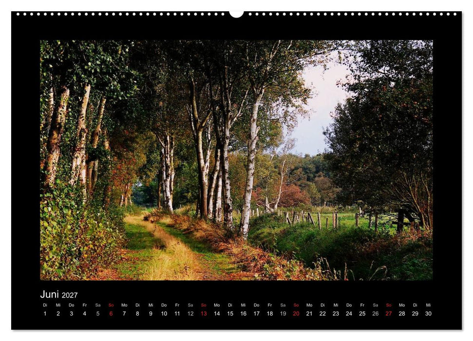 Landschaft Teufelsmoor / 2027 (CALVENDO Premium Wandkalender 2027)