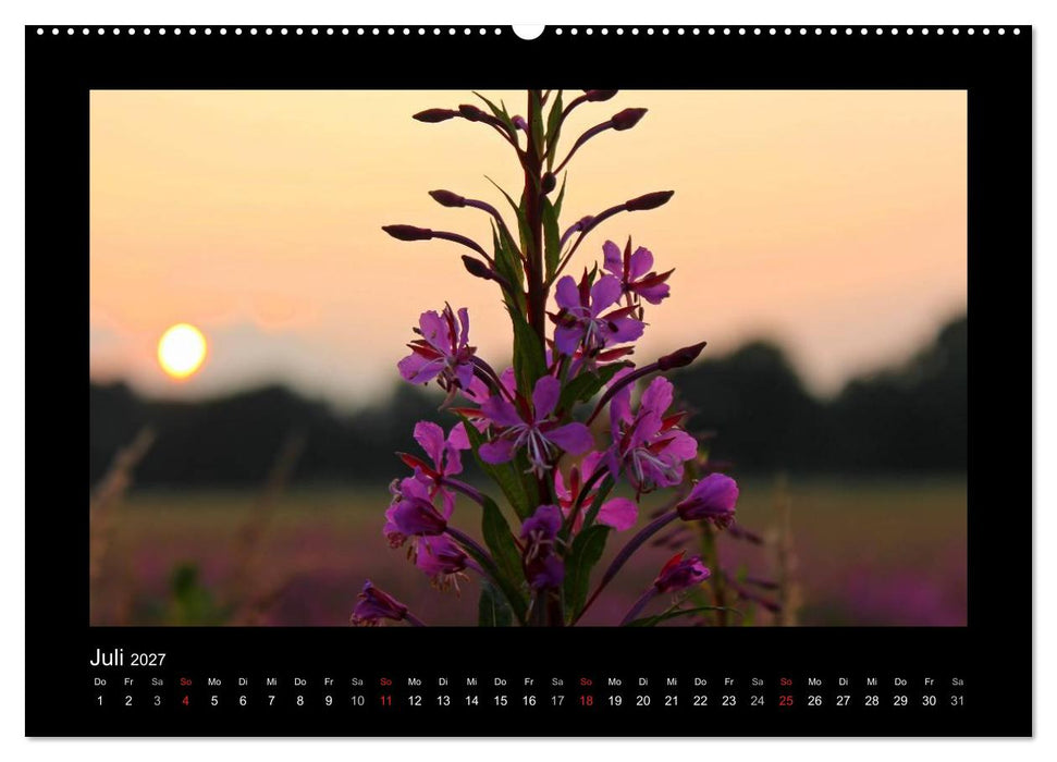 Landschaft Teufelsmoor / 2027 (CALVENDO Premium Wandkalender 2027)