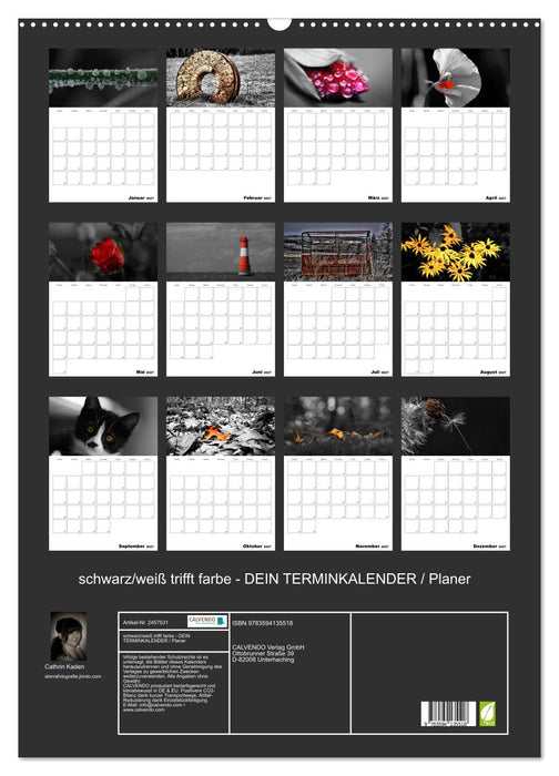 schwarz/weiß trifft farbe - DEIN TERMINKALENDER / Planer (CALVENDO Wandkalender 2027)