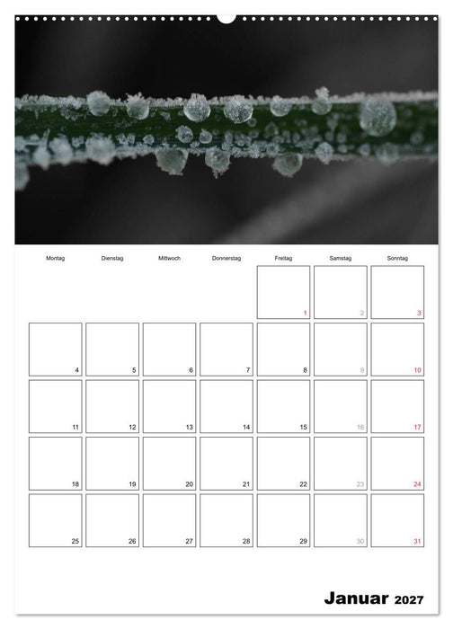 schwarz/weiß trifft farbe - DEIN TERMINKALENDER / Planer (CALVENDO Wandkalender 2027)
