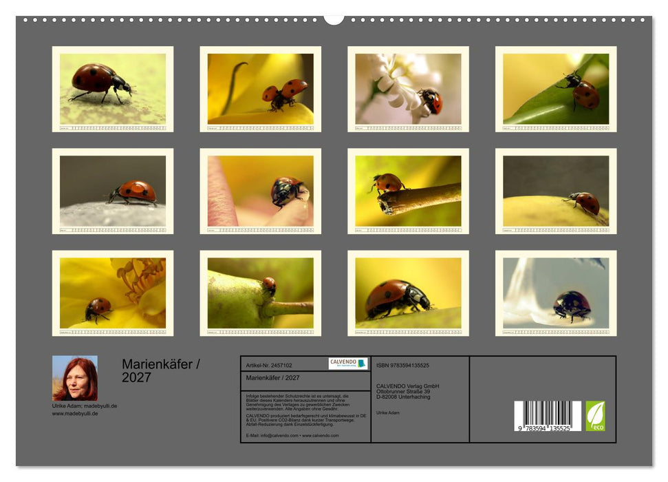 Marienkäfer / 2027 (CALVENDO Premium Wandkalender 2027)