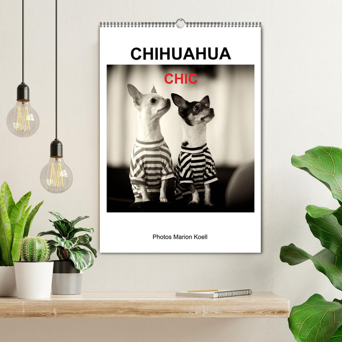 CHIHUAHUA CHIC Photos Marion Koell (CALVENDO Wandkalender 2027)