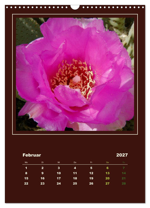 Wilde Kakteen Amerikas (CALVENDO Wandkalender 2027)