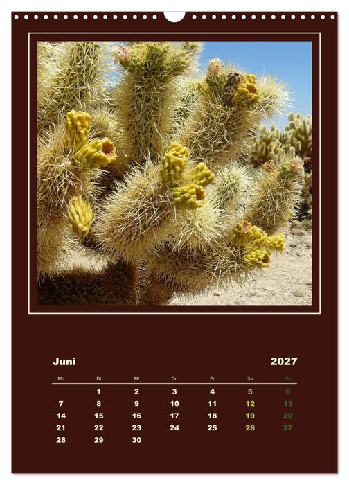Wilde Kakteen Amerikas (CALVENDO Wandkalender 2027)