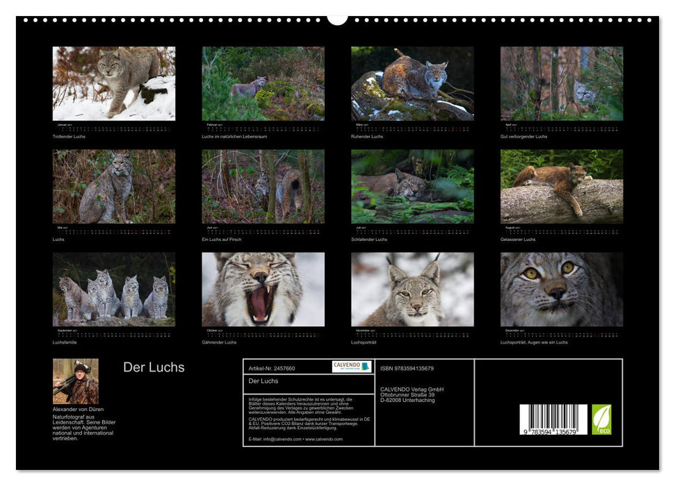 Der Luchs (CALVENDO Premium Wandkalender 2027)