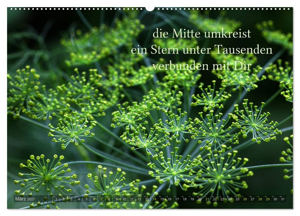 Haiku - Gedichte in 17 Silben (CALVENDO Wandkalender 2027)