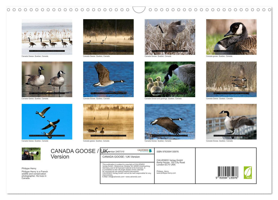 CANADA GOOSE / UK-Version (CALVENDO Monthly Calendar 2027)