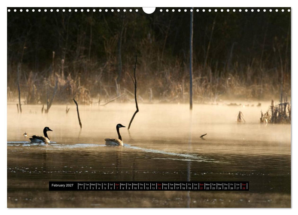 CANADA GOOSE / UK-Version (CALVENDO Monthly Calendar 2027)