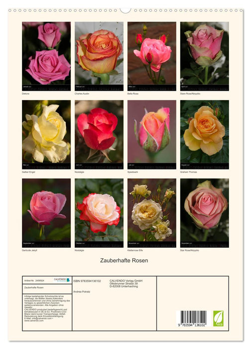 Zauberhafte Rosen (CALVENDO Premium Wandkalender 2027)