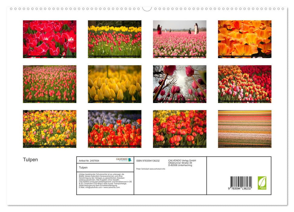 Tulpen (CALVENDO Premium Wandkalender 2027)