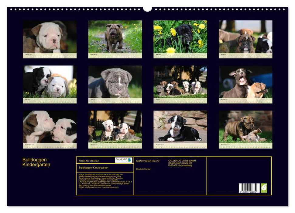 Bulldoggen-Kindergarten (CALVENDO Wandkalender 2027)