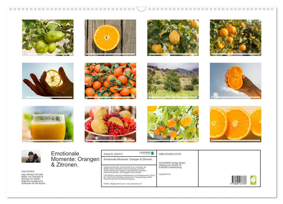 Emotionale Momente: Orangen & Zitronen. (CALVENDO Wandkalender 2027)