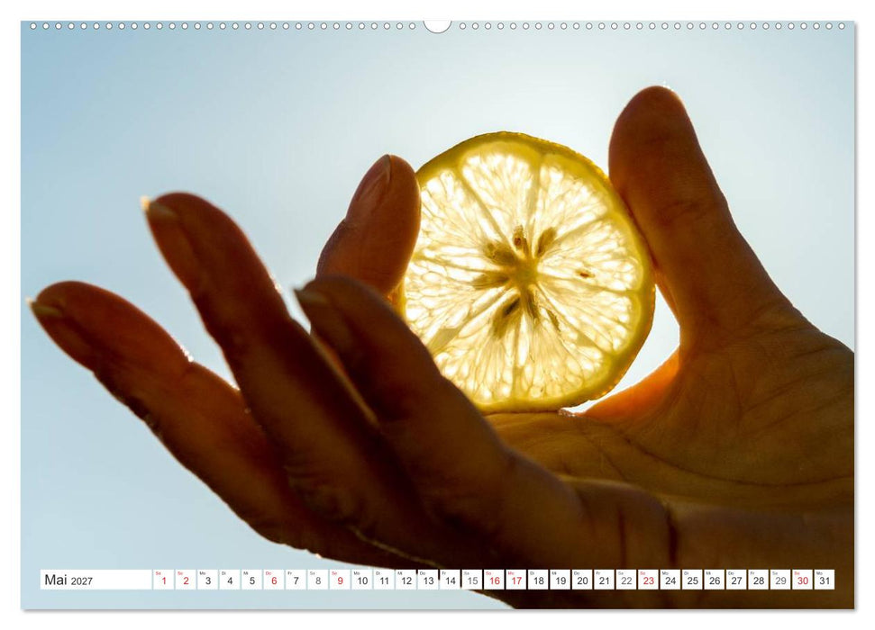 Emotionale Momente: Orangen & Zitronen. (CALVENDO Wandkalender 2027)