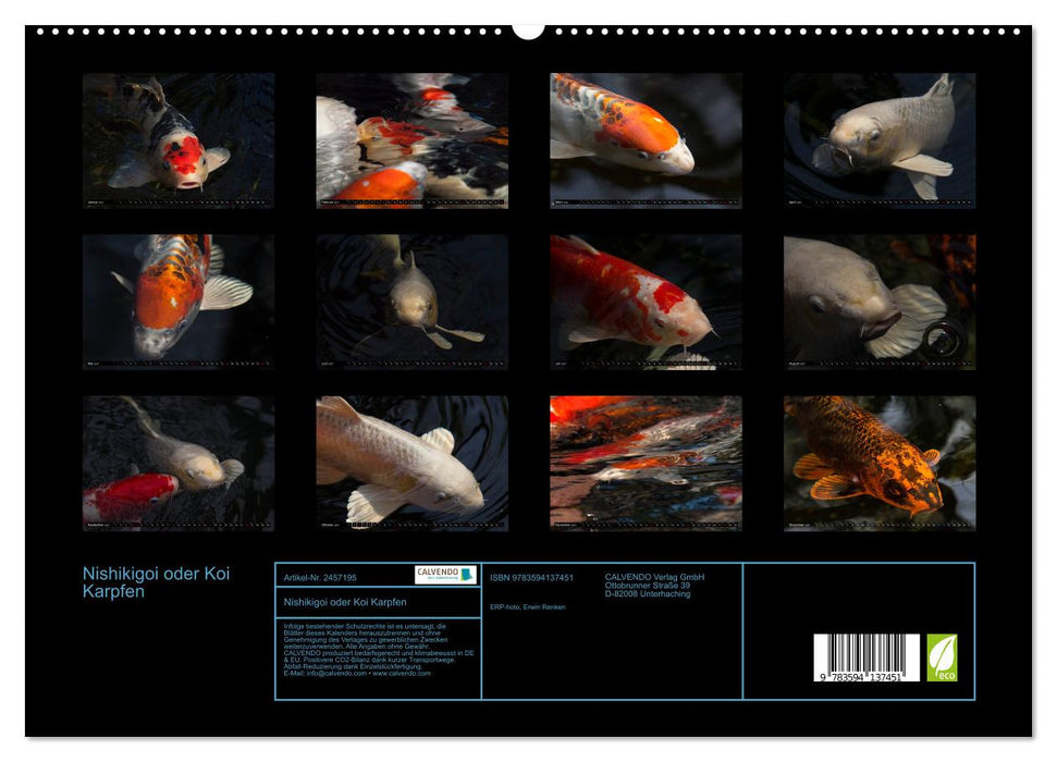 Nishikigoi oder Koi Karpfen (CALVENDO Premium Wandkalender 2027)
