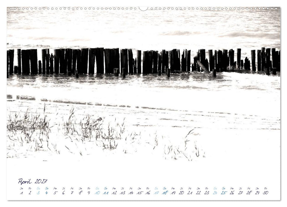 Meeresbilder - Nordsee-Impressionen (CALVENDO Premium Wandkalender 2027)