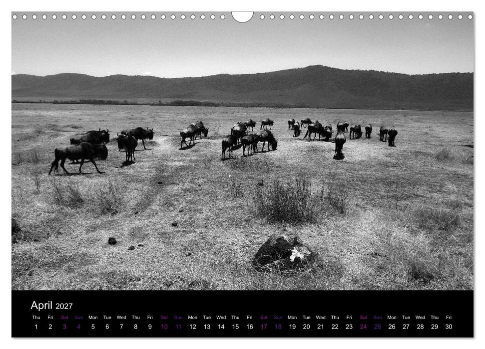 East Africa - Tanzania and Kenya / UK-Version (CALVENDO Monthly Calendar 2027)