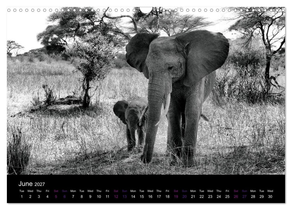 East Africa - Tanzania and Kenya / UK-Version (CALVENDO Monthly Calendar 2027)
