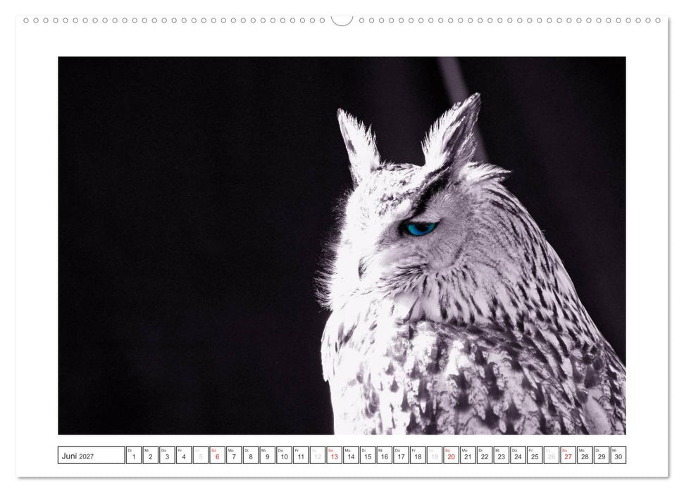 Natur schwarz - weiß Malerei (CALVENDO Wandkalender 2027)