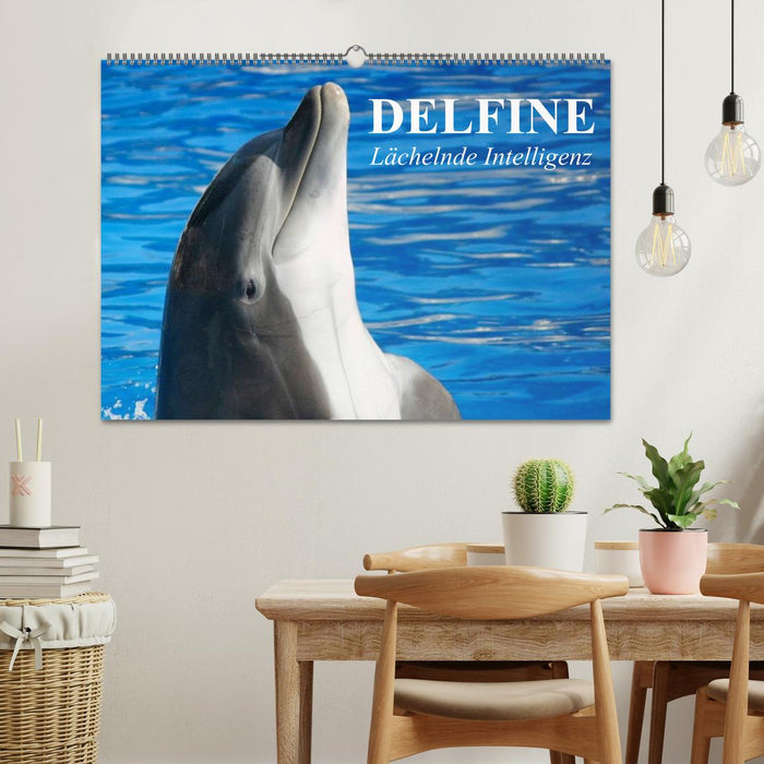 Delfine - Lächelnde Intelligenz (CALVENDO Wandkalender 2027)