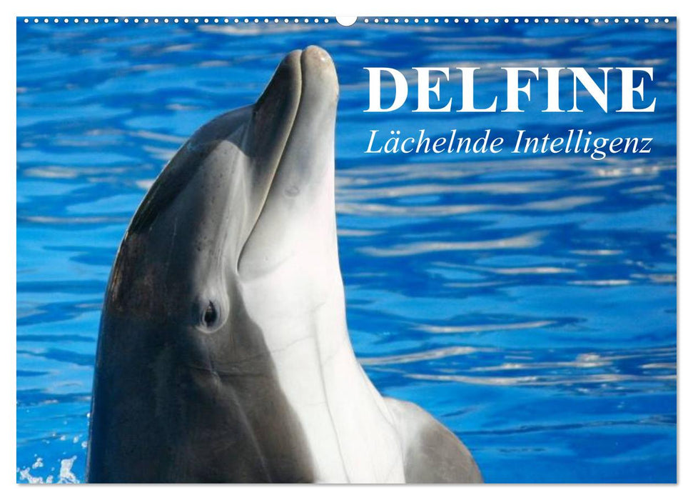 Delfine - Lächelnde Intelligenz (CALVENDO Wandkalender 2027)