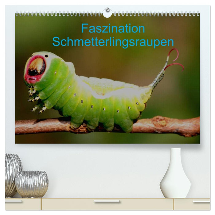 Faszination Schmetterlingsraupen (CALVENDO Premium Wandkalender 2027)