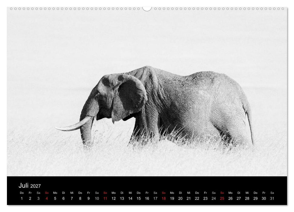 Elefanten Schwarz - Weiss (CALVENDO Premium Wandkalender 2027)