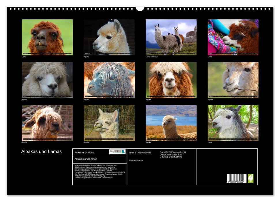 Alpakas und Lamas (CALVENDO Wandkalender 2027)