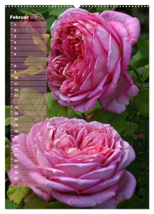 Rosen für DICH / Geburtstagskalender (CALVENDO Wandkalender 2027)