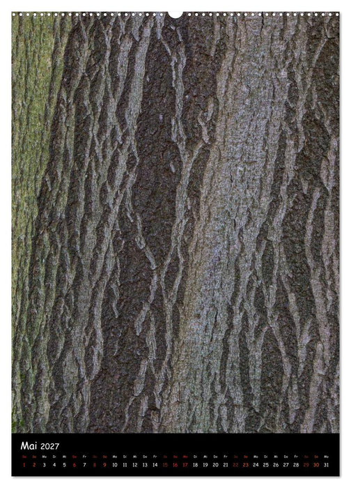 Baumrinde 2027 (CALVENDO Premium Wandkalender 2027)