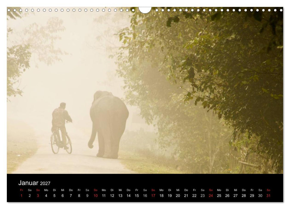 Romantisches Indien (CALVENDO Wandkalender 2027)