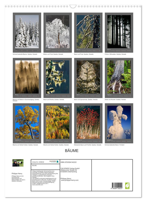 BÄUME (CALVENDO Wandkalender 2027)