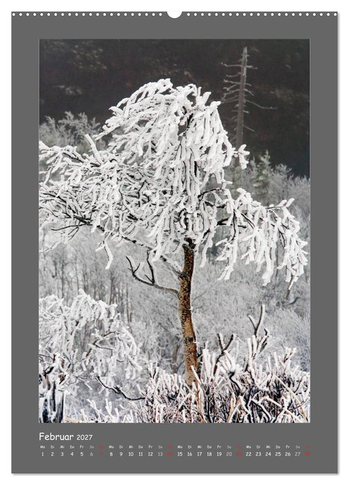 BÄUME (CALVENDO Wandkalender 2027)