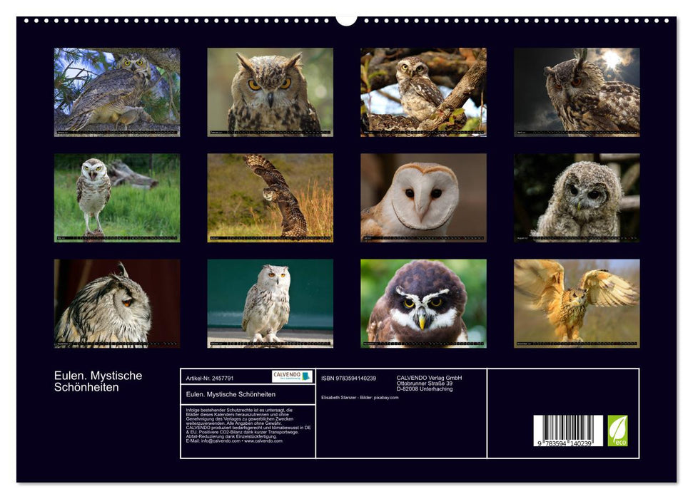 Eulen. Mystische Schönheiten (CALVENDO Premium Wandkalender 2027)