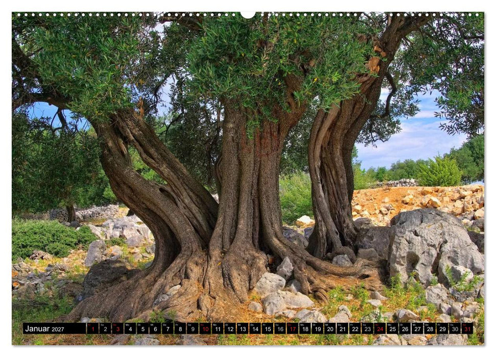 Kvarner Golf - Kroatien (CALVENDO Premium Wandkalender 2027)