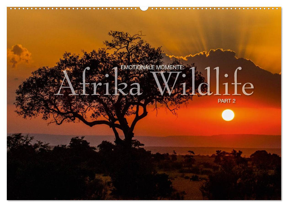 Emotionale Momente: Afrika Wildlife Part 2 / CH-Version (CALVENDO Wandkalender 2027)