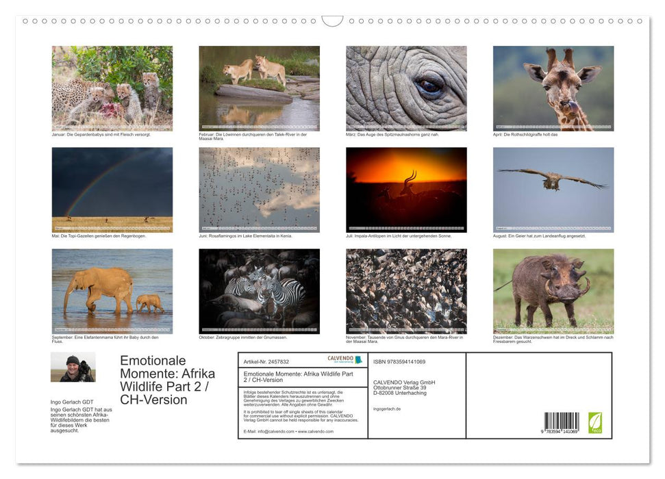 Emotionale Momente: Afrika Wildlife Part 2 / CH-Version (CALVENDO Wandkalender 2027)