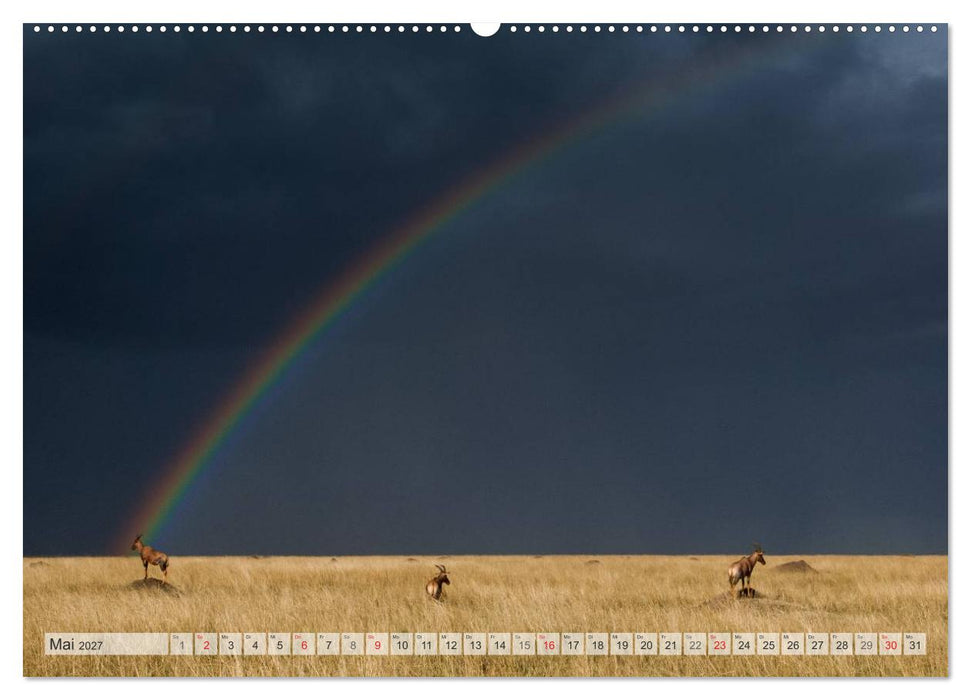 Emotionale Momente: Afrika Wildlife Part 2 / CH-Version (CALVENDO Wandkalender 2027)