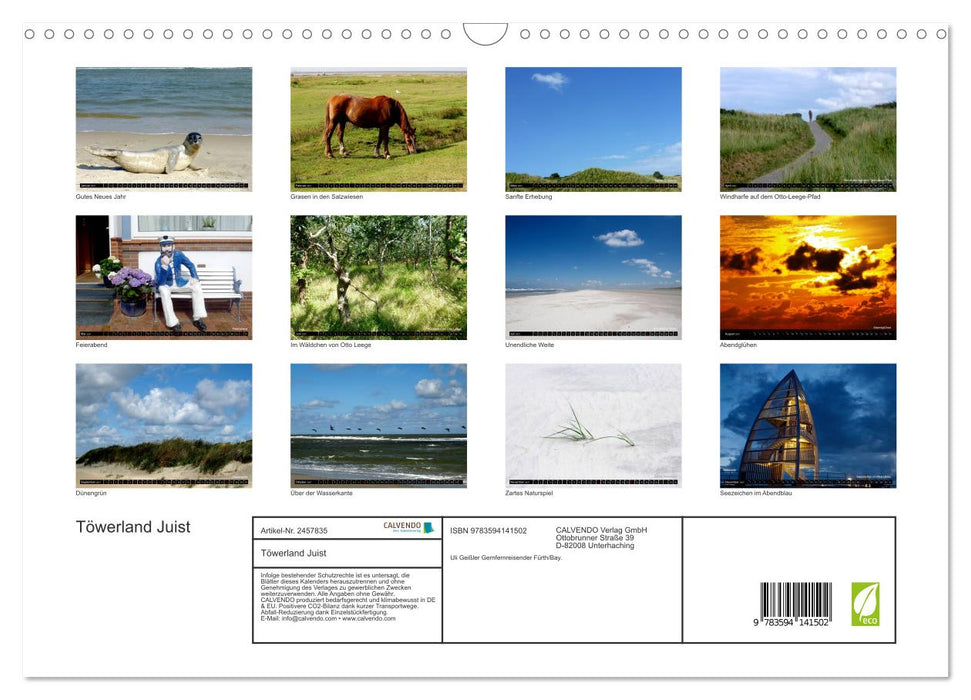 Töwerland Juist (CALVENDO Wandkalender 2027)