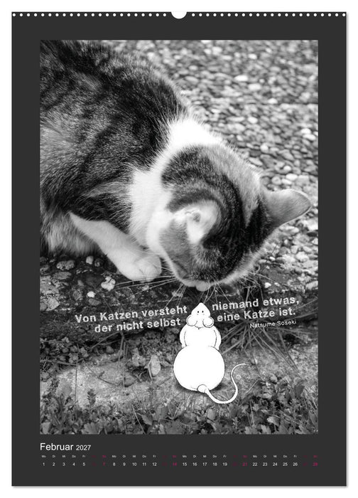 Katz & Maus (CALVENDO Premium Wandkalender 2027)