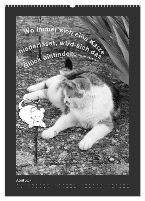 Katz & Maus (CALVENDO Premium Wandkalender 2027)