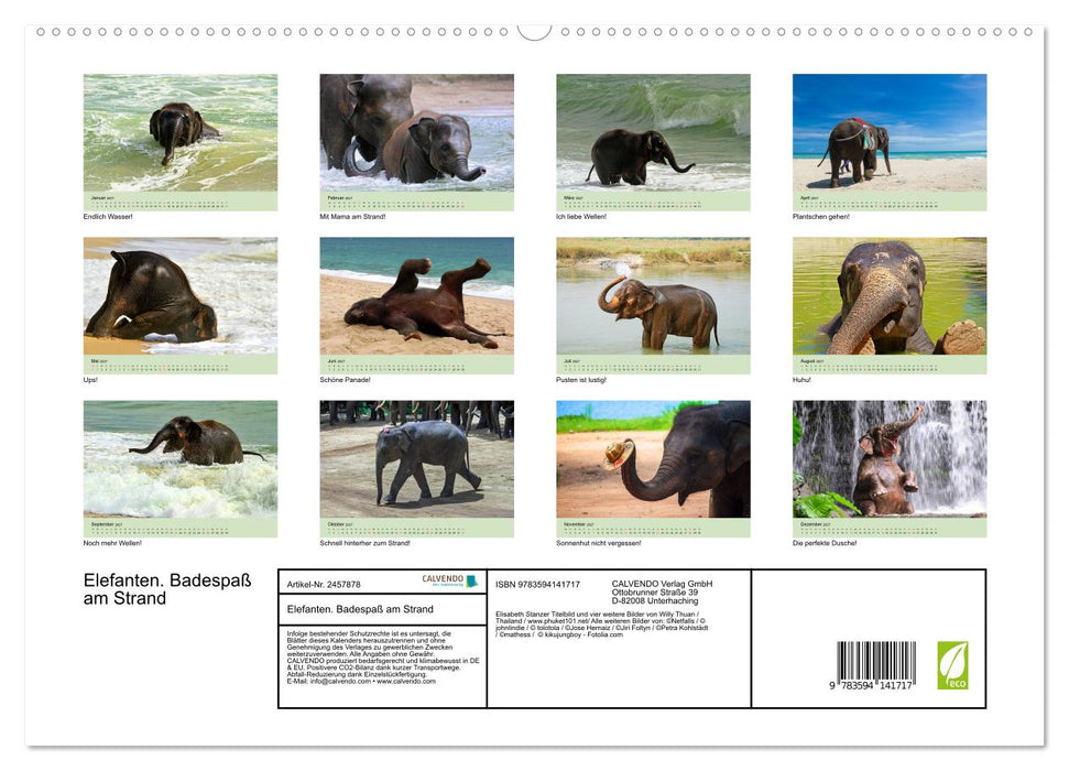 Elefanten. Badespaß am Strand (CALVENDO Premium Wandkalender 2027)