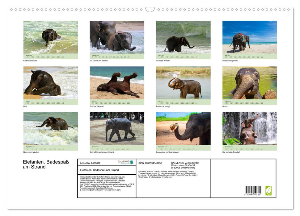 Elefanten. Badespaß am Strand (CALVENDO Wandkalender 2027)