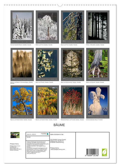 BÄUME (CALVENDO Premium Wandkalender 2027)