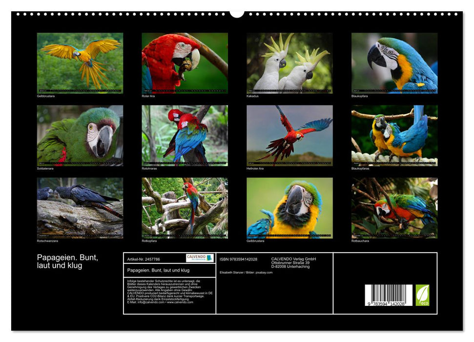 Papageien. Bunt, laut und klug (CALVENDO Premium Wandkalender 2027)