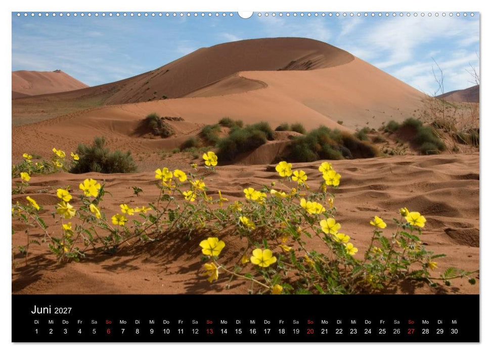 Namibias Highlights (CALVENDO Premium Wandkalender 2027)
