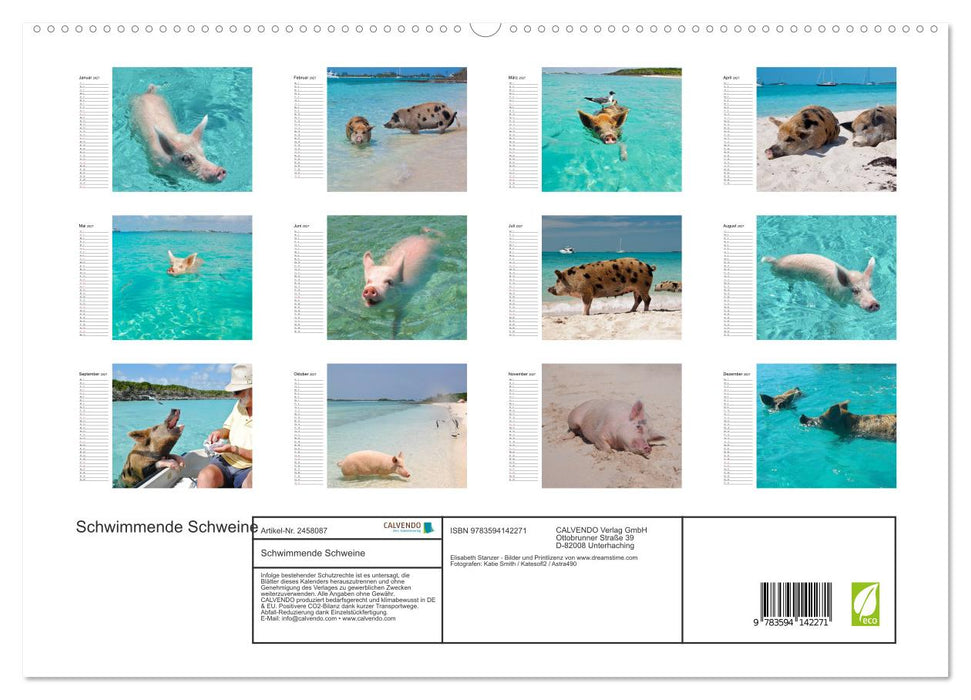 Schwimmende Schweine (CALVENDO Premium Wandkalender 2027)