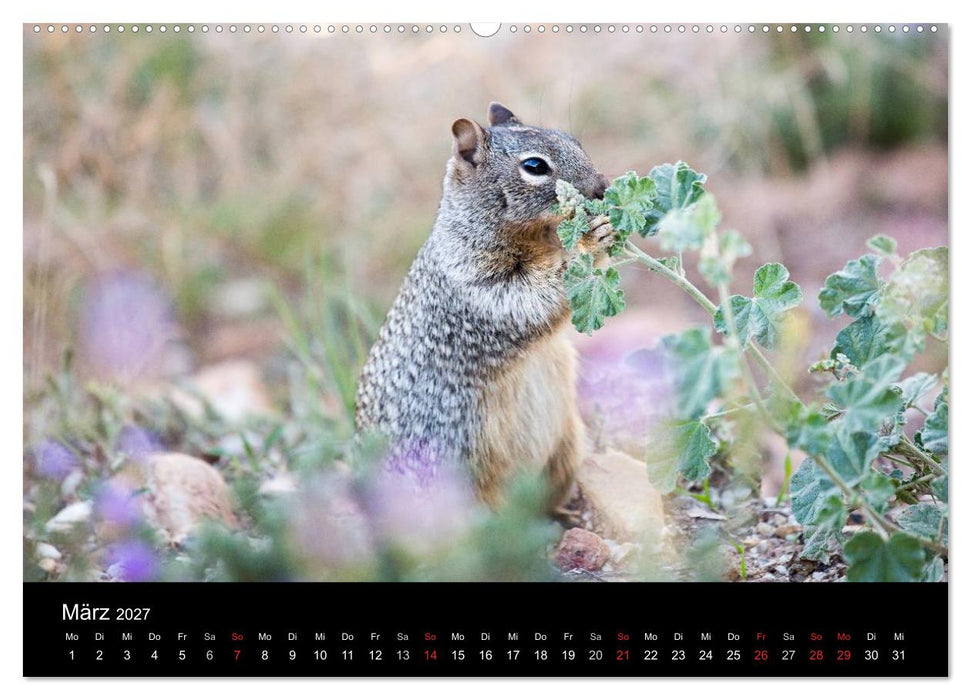 Faszination Grand Canyon / CH-Version (CALVENDO Wandkalender 2027)